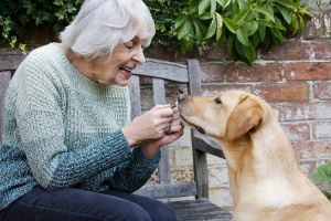 Caring For Pets & Dementia
